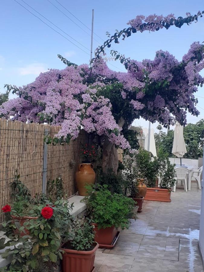 Ferienwohnung Casa Antonia Anacapri  Exterior foto